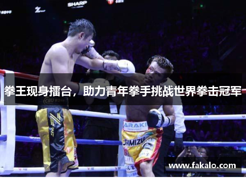 拳王现身擂台，助力青年拳手挑战世界拳击冠军